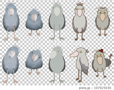 Shoebill material set 107025030
