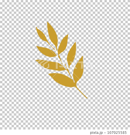 autumn leaves illustration 107025585