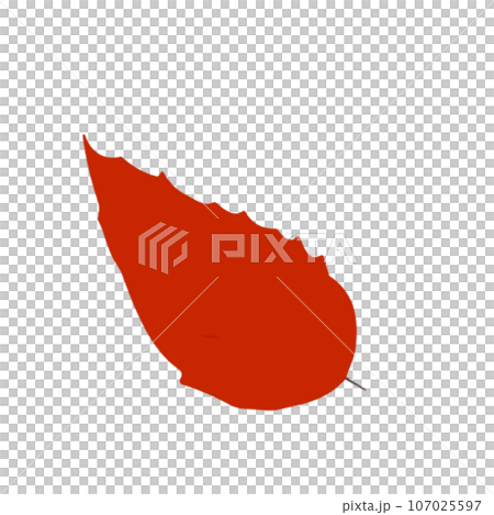 autumn leaves illustration 107025597