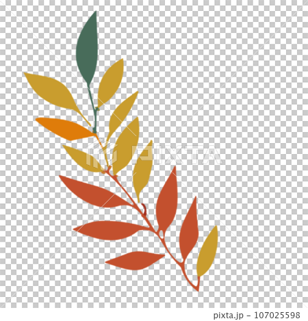 autumn leaves illustration 107025598