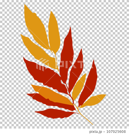 autumn leaves illustration 107025608