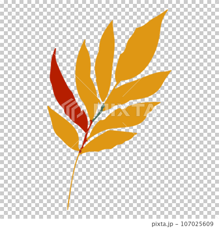 autumn leaves illustration 107025609