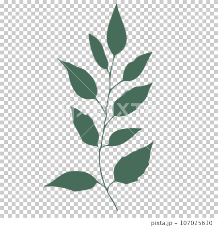 autumn leaves illustration 107025610