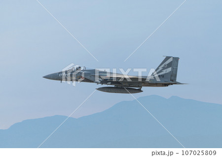 航空自衛隊第303飛行隊F-15Jイーグル特別塗装機 航空自衛隊第303飛行隊F-15Jイーグル特別塗装機 107025809