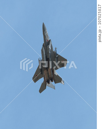 航空自衛隊F-15Jイーグル特別塗装機上昇 107025817