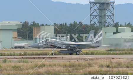 航空自衛隊第303飛行隊F-15Jイーグル特別塗装機 航空自衛隊第303飛行隊F-15Jイーグル特別塗装機 107025822