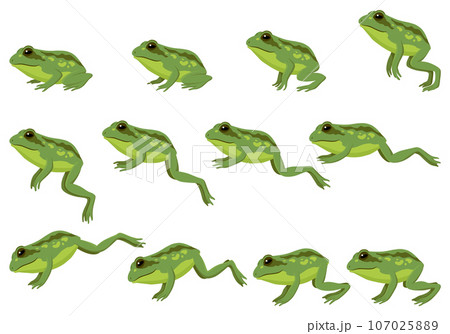 Frog jumping animation icon set. Sequences or footage for motion design. Cartoon toad jumping, animal movement concept. Animated process of frogs leaps sequence, vector illustration Frog jumping animation icon set. Sequences or footage for motion design. Cartoon toad jumping, animal movement concept. Animated process of frogs leaps sequence, vector illustration 107025889