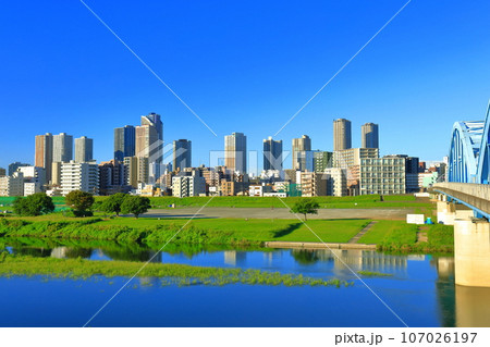 【神奈川県】快晴の武蔵小杉の高層マンション群 107026197