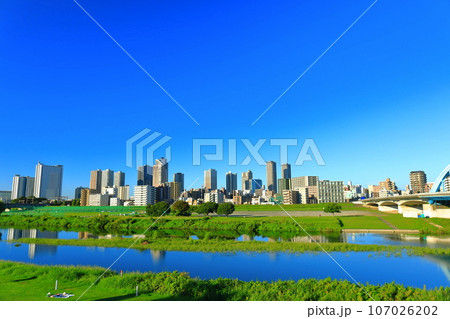 【神奈川県】快晴の武蔵小杉の高層マンション群 【神奈川県】快晴の武蔵小杉の高層マンション群 107026202