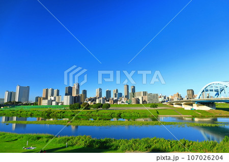 【神奈川県】快晴の武蔵小杉の高層マンション群 107026204