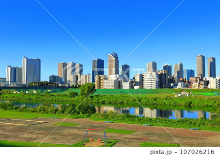 【神奈川県】快晴の武蔵小杉の高層マンション群 107026216