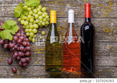 Wine bottles and grape 107026363