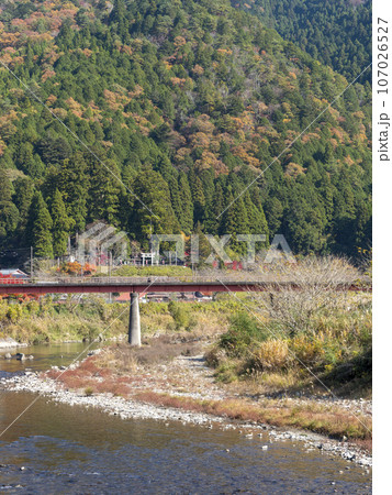美山町を流れる由良川沿いの秋景色 107026527