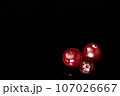 Cranberries on a black background. Closeup 107026667