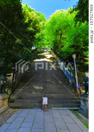 【東京都】愛宕神社の出世の階段 【東京都】愛宕神社の出世の階段 107027909