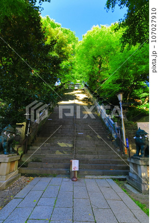 【東京都】愛宕神社の出世の階段 【東京都】愛宕神社の出世の階段 107027910