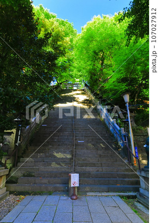 【東京都】愛宕神社の出世の階段 107027912