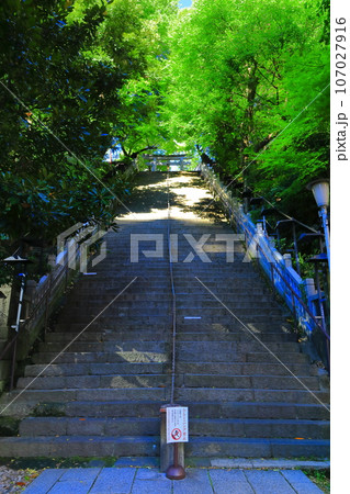 【東京都】愛宕神社の出世の階段 107027916