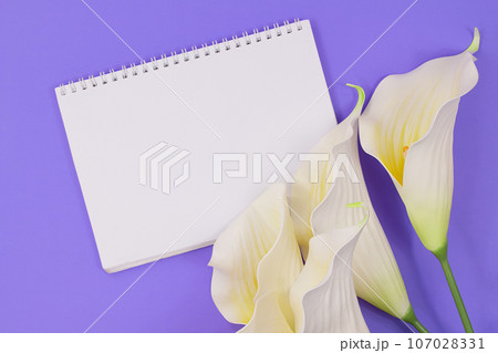 Empty notebook and callas on lilac background. Invitation, birthday, March 8, International women's, mother's day. Copy space 107028331