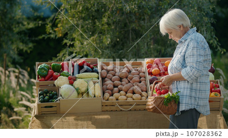 An old lady chooses vegetables at an agricultural fair. Standing next to the counter An old lady chooses vegetables at an agricultural fair. Standing next to the counter 107028362