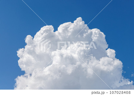 青い空に浮かぶ積雲の綿のような頂部 青い空に浮かぶ積雲の綿のような頂部 107028408