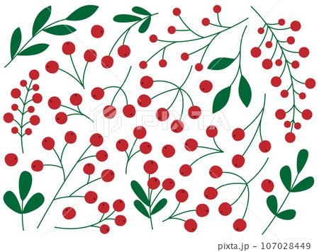 Berries and leaves set Berries and leaves set 107028449