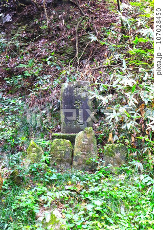 毛呂山町の森林の岩壁に囲まれ獅子ヶ滝入り口の獅子ヶ滝の石碑と苔むす道祖神の風景 107028450