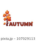 Vector colorful autumn concept. Word, red tree with fall leaf. Handwrite lettering word autumn 107029113