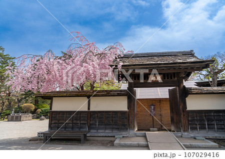 福島県会津若松市　桜咲く春の会津若松城内にある茶室麟閣の外観 107029416