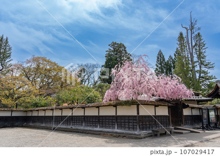 福島県会津若松市　桜咲く春の会津若松城内にある茶室麟閣の外観 107029417