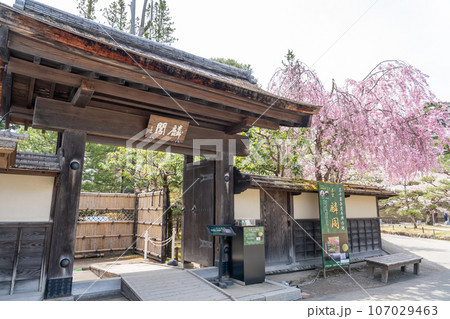 福島県会津若松市　桜咲く春の会津若松城内にある茶室麟閣の外観 107029463