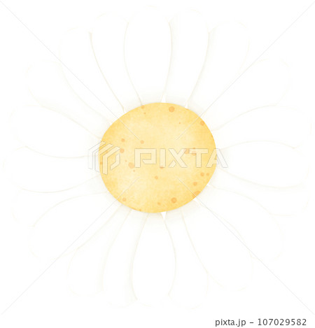 Watercolor Flower, Hand draw, Color ful 107029582