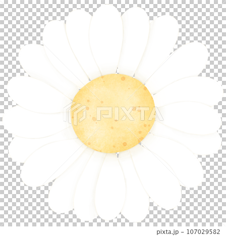 Watercolor Flower, Hand draw, Color ful 107029582