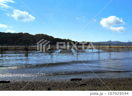 ノリ養殖場の五カ所湾の風景 107029594