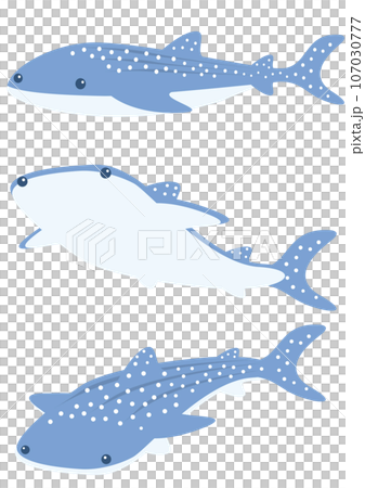 Illustration of a swimming whale shark 107030777