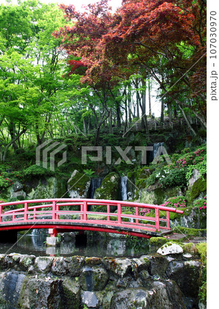 佐賀県武雄市の観光スポット「慧洲園」　春の日本庭園の風景 107030970