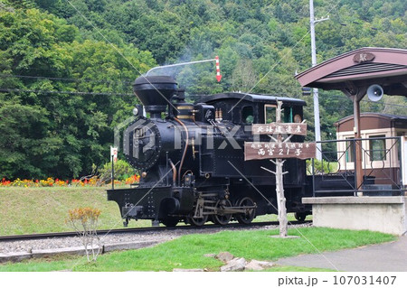 【動画あり】北海道遺産・森林鉄道蒸気機関車・雨宮21号(北海道紋別郡遠軽町丸瀬布) 【動画あり】北海道遺産・森林鉄道蒸気機関車・雨宮21号(北海道紋別郡遠軽町丸瀬布) 107031407