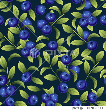Seamless pattern of blueberries. Texture of blue berries and leaves. Blueberry sprigs for fabric, wallpaper, wrapping paper, etc. Seamless pattern of blueberries. Texture of blue berries and leaves. Blueberry sprigs for fabric, wallpaper, wrapping paper, etc. 107031511
