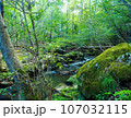 るり渓 107032115
