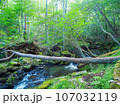 るり渓 107032119
