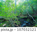 るり渓 107032121