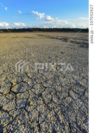 Broken dry soil in a Pampas lagoon, La Pampa province, Patagonia, Argentina. 107032627