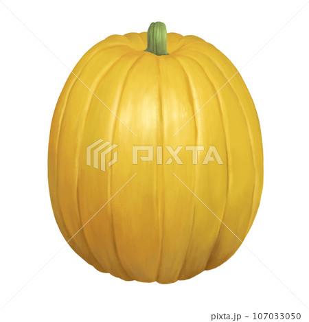 シンプルなかぼちゃ イラスト シンプルなかぼちゃ イラスト 107033050