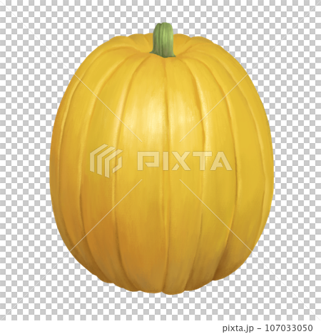 Simple pumpkin illustration Simple pumpkin illustration 107033050