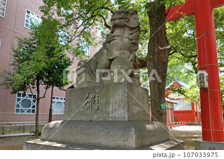 花園神社の大鳥居前の狛犬【東京都新宿区】 107033975