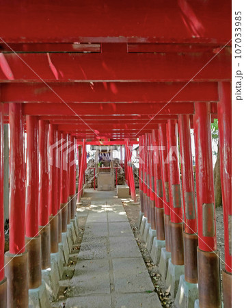 花園神社の威徳稲荷神社【東京都新宿区】 花園神社の威徳稲荷神社【東京都新宿区】 107033985