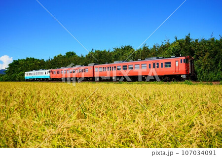 色付く稲穂とタラコ色のキハ47系 107034091