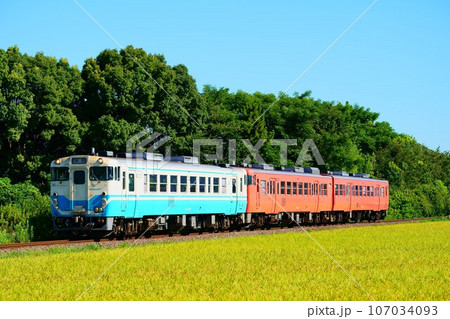 稲穂色付く高徳線沿線 四国色+タラコ色のキハ40・47系 稲穂色付く高徳線沿線 四国色+タラコ色のキハ40・47系 107034093