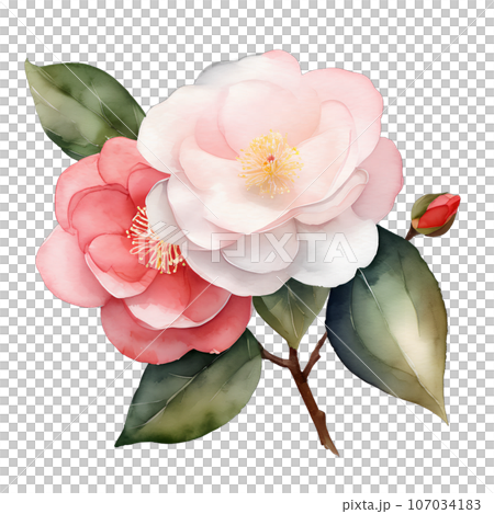 椿のイラスト AI生成画像 椿のイラスト AI生成画像 107034183