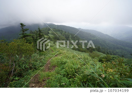 志賀高原 寺子屋峰から岩菅山への、尾根の登山道 2085mのピーク付近 2023年8月20日 志賀高原 寺子屋峰から岩菅山への、尾根の登山道 2085mのピーク付近 2023年8月20日 107034199